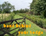 BAND BEHIND YOUR HEDGE 