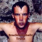 EricFerguson - BrachiocephalicTrunk