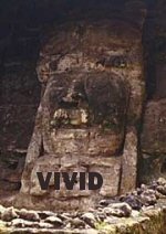 * VIVID * 