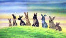 Watership Down 